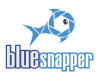 Bluesnapper
